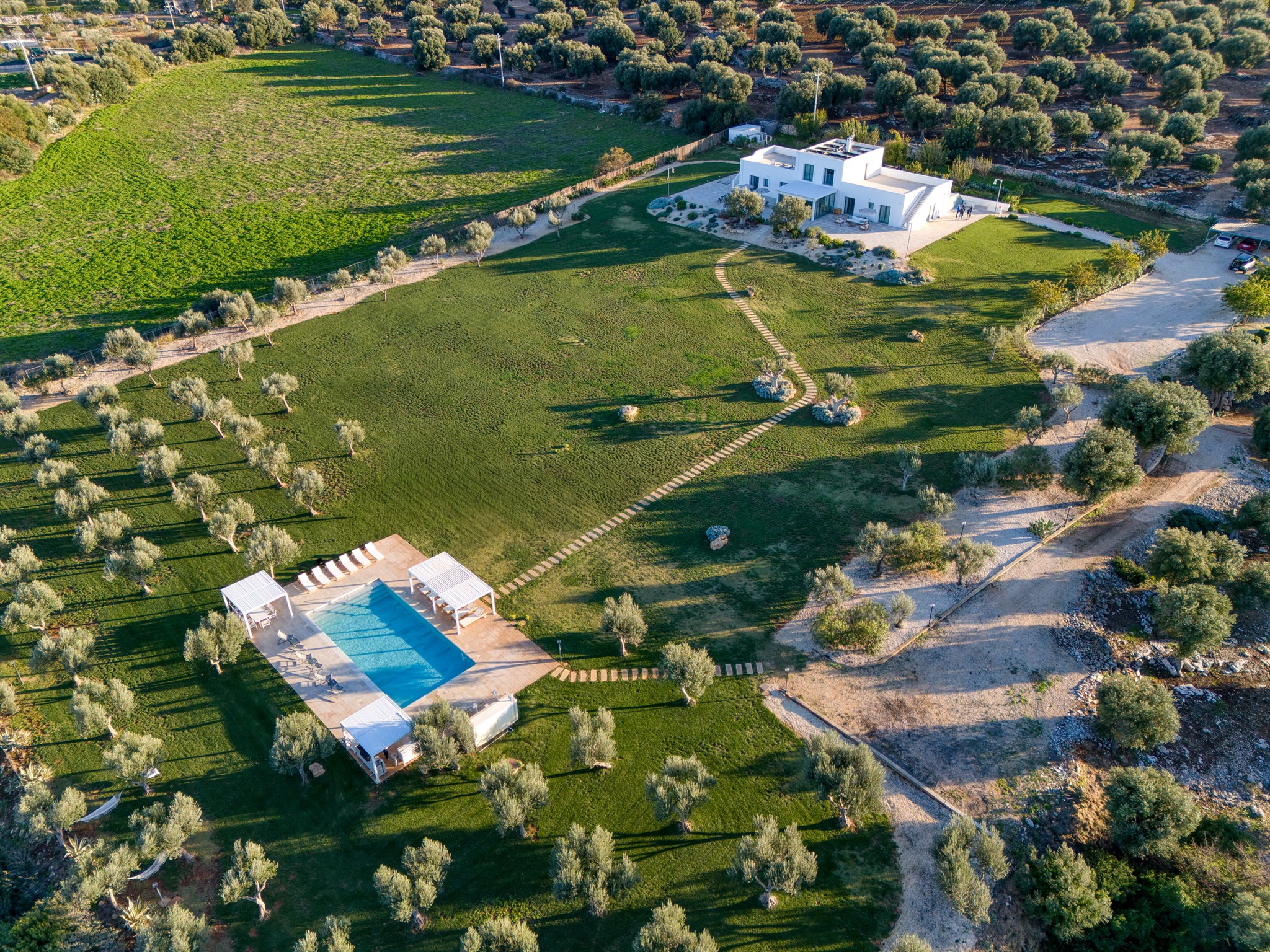 Davor Savić - Fotograf